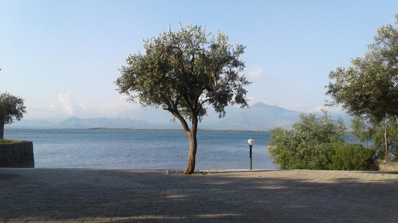 Hotel Shkodra Lake Široka Eksteriør billede