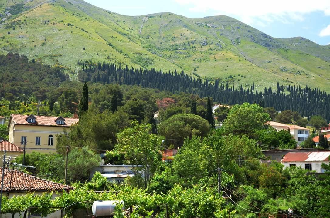Hotel Shkodra Lake Široka Eksteriør billede
