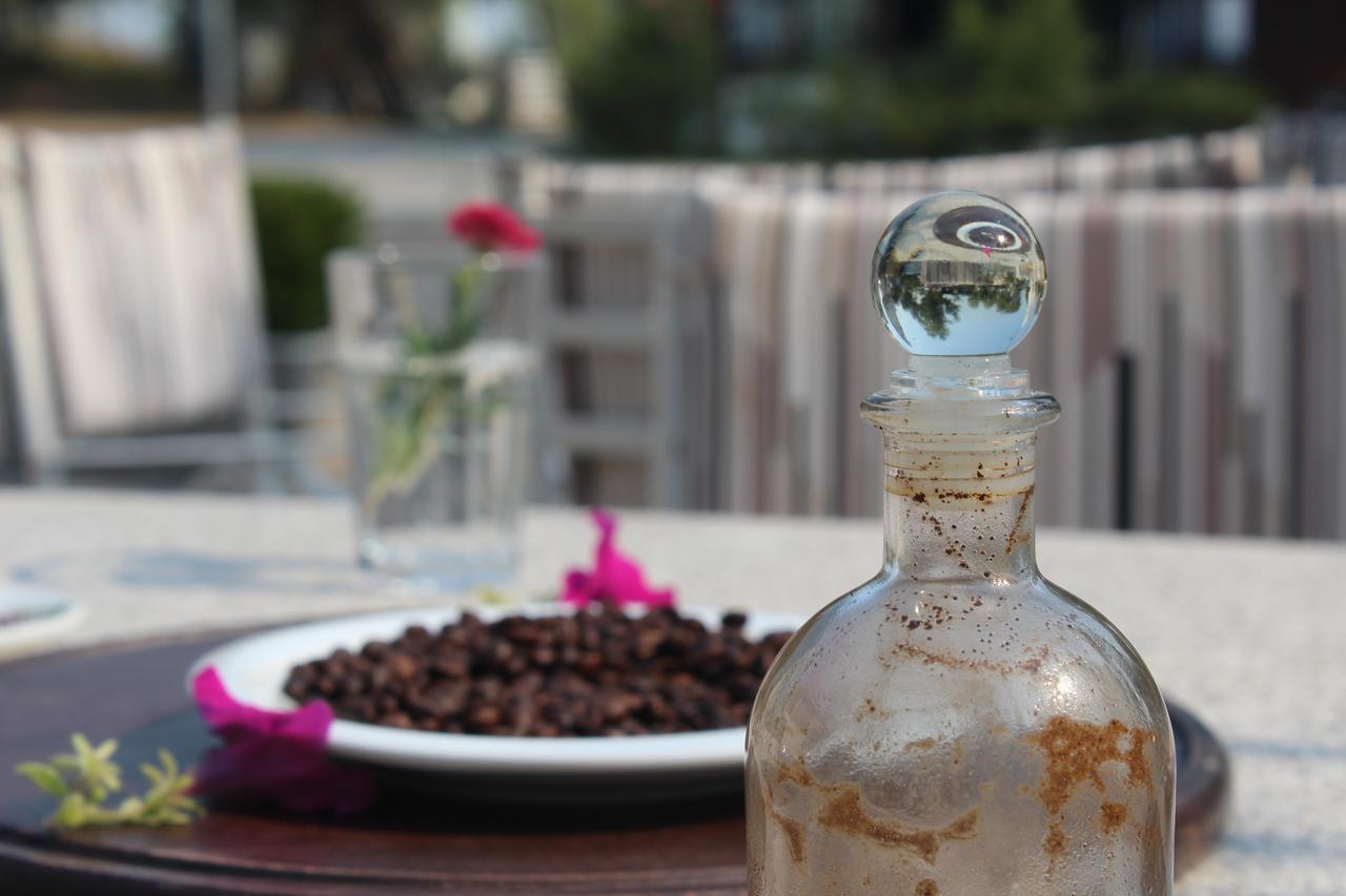 Hotel Shkodra Lake Široka Eksteriør billede